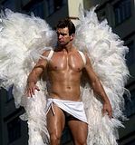 male angel